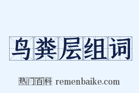 鸟粪层组词是什么意思的图片